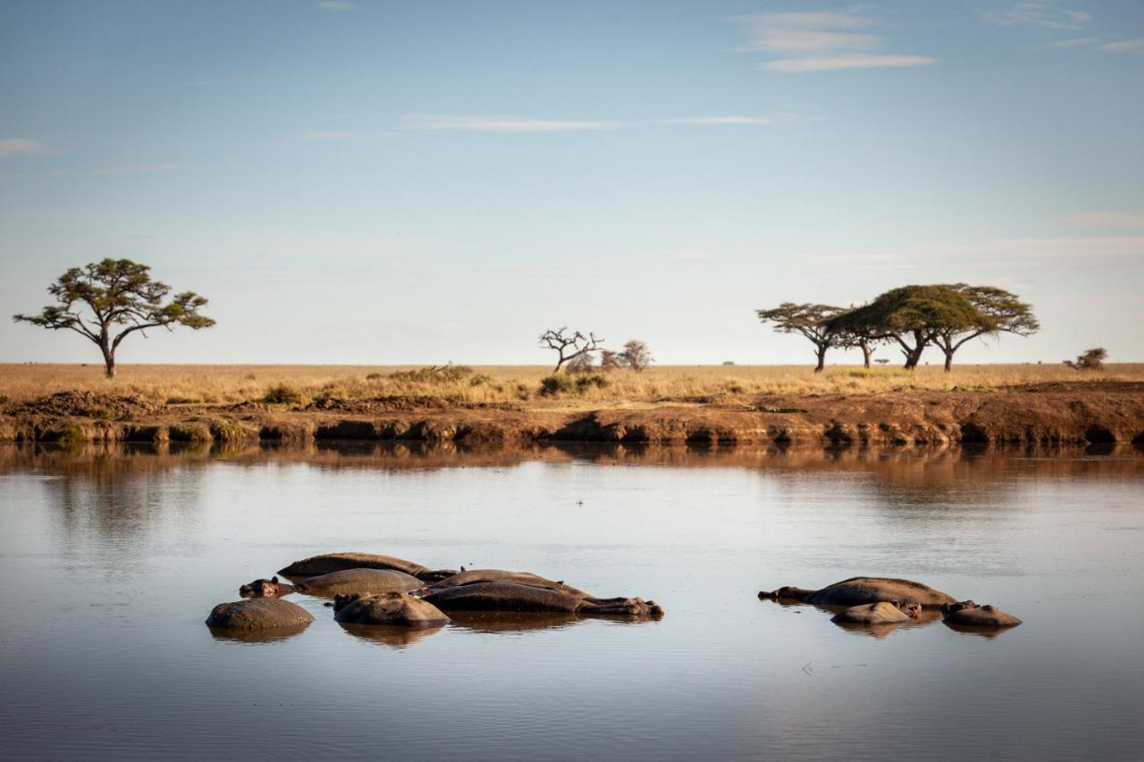 Mawe Tented Camp Serengeti Eksteriør billede