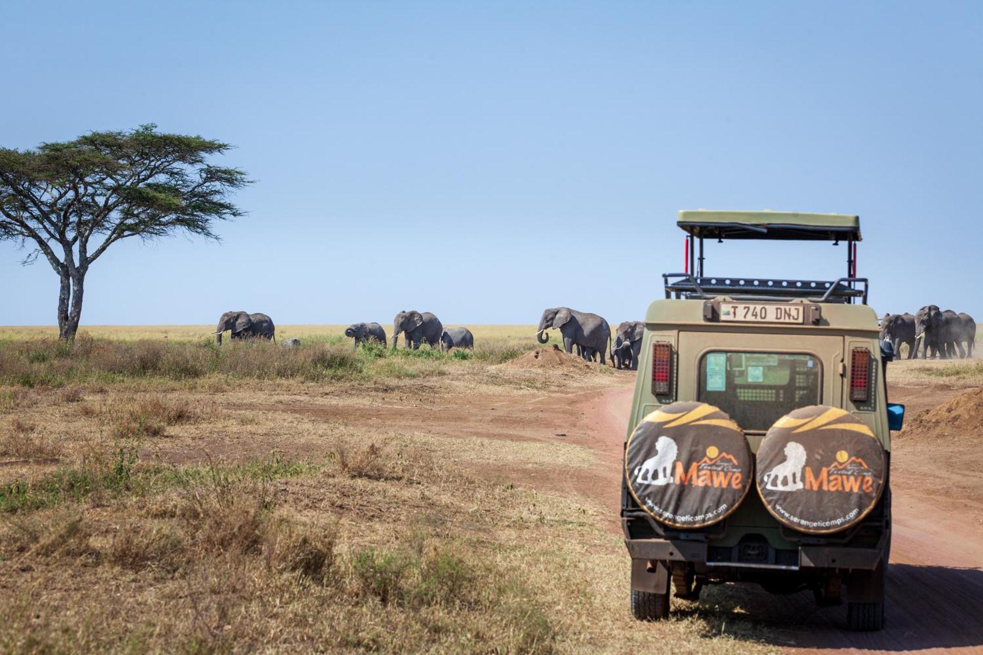 Mawe Tented Camp Serengeti Eksteriør billede